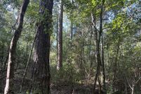 Land for sale in Greene County, Mississippi