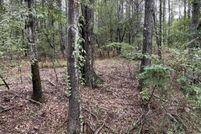 Land for sale in Hinds County, Mississippi