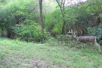 Land for sale in Rankin County, Mississippi