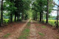 Undeveloped Land for sale in Pearl River County, Mississippi