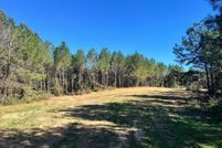 Land for sale in Amite County, Mississippi