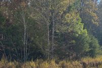 Land for sale in Marshall County, Mississippi