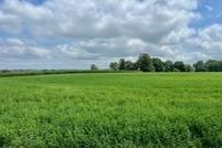 Land for sale in Chester County, Pennsylvania