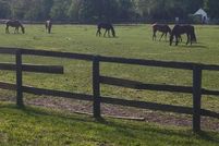 Farm and Ranch for sale in Ocean County, New Jersey