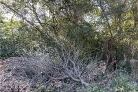 Land for sale in Milam County, Texas