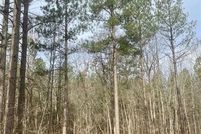 Land for sale in McCurtain County, Oklahoma