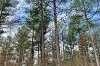 Undeveloped Land for sale in McCurtain County, Oklahoma