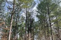 Undeveloped Land for sale in McCurtain County, Oklahoma
