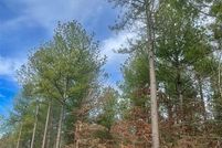 Undeveloped Land for sale in McCurtain County, Oklahoma