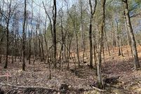 Undeveloped Land for sale in McCurtain County, Oklahoma