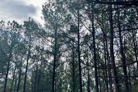 Undeveloped Land for sale in McCurtain County, Oklahoma