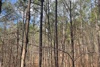 Undeveloped Land for sale in McCurtain County, Oklahoma
