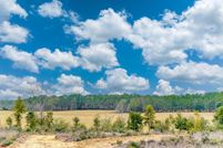 Undeveloped Land for sale in Washington County, Florida