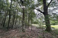 Undeveloped Land for sale in Okaloosa County, Florida
