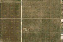 Land for sale in Curry County, New Mexico