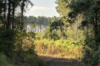 Land for sale in Walton County, Florida