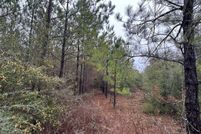 Undeveloped Land for sale in Washington County, Florida