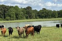 Farm and Ranch for sale in Okaloosa County, Florida