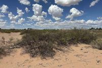 Undeveloped Land for sale in Luna County, New Mexico