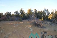 Undeveloped Land for sale in Cibola County, New Mexico