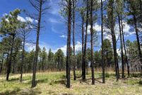 Land for sale in San Miguel County, New Mexico