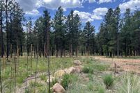 Timberland Property for sale in San Miguel County, New Mexico