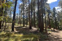 Homesite for sale in San Miguel County, New Mexico