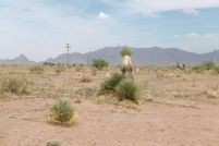 Undeveloped Land for sale in Luna County, New Mexico