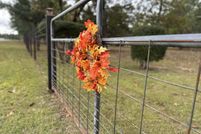 Land for sale in Walton County, Florida