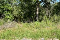 Land for sale in Walton County, Florida