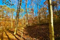 Timberland Property for sale in Pike County, Ohio