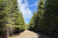 Timberland Property for sale in Lane County, Oregon