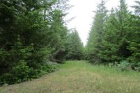 Undeveloped Land for sale in Clackamas County, Oregon