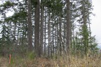 Land for sale in Yamhill County, Oregon