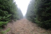 Land for sale in Yamhill County, Oregon