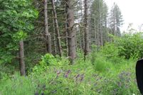 Farm and Ranch for sale in Yamhill County, Oregon