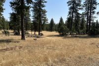 Undeveloped Land for sale in Klickitat County, Washington