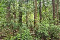 Land for sale in Curry County, Oregon