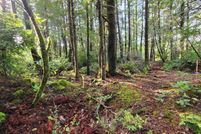 Homesite for sale in Curry County, Oregon