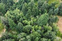 Land for sale in Lane County, Oregon