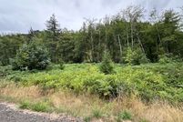 Undeveloped Land for sale in Cowlitz County, Washington
