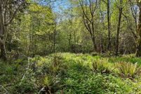 Land for sale in Pacific County, Washington