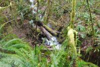 Undeveloped Land for sale in Columbia County, Oregon