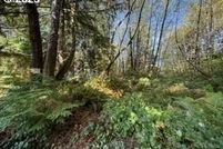 Land for sale in Tillamook County, Oregon