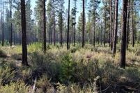 Undeveloped Land for sale in Klamath County, Oregon