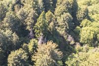 Land for sale in Coos County, Oregon