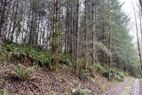 Timberland Property for sale in Clark County, Washington
