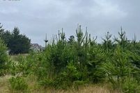 Land for sale in Pacific County, Washington