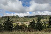 Land for sale in Douglas County, Oregon