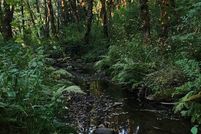 Undeveloped Land for sale in Columbia County, Oregon